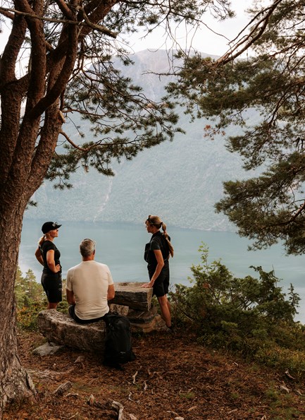 Fjellturar