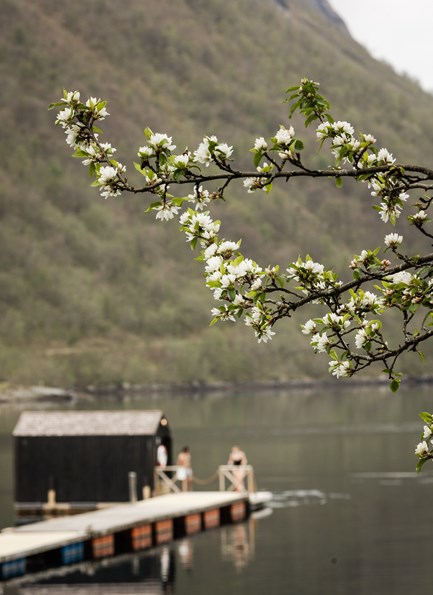 Fjordsauna